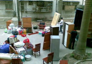 專業(yè)免費(fèi)上門大件貨物、摩托車電動(dòng)車及寵物托運(yùn)信息咨詢服務(wù)